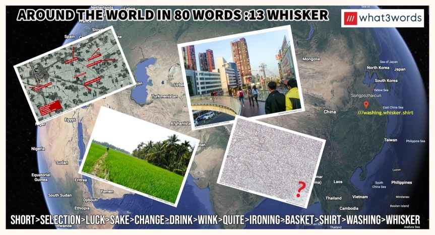 Around The World In 80 Words : 13. WHISKER