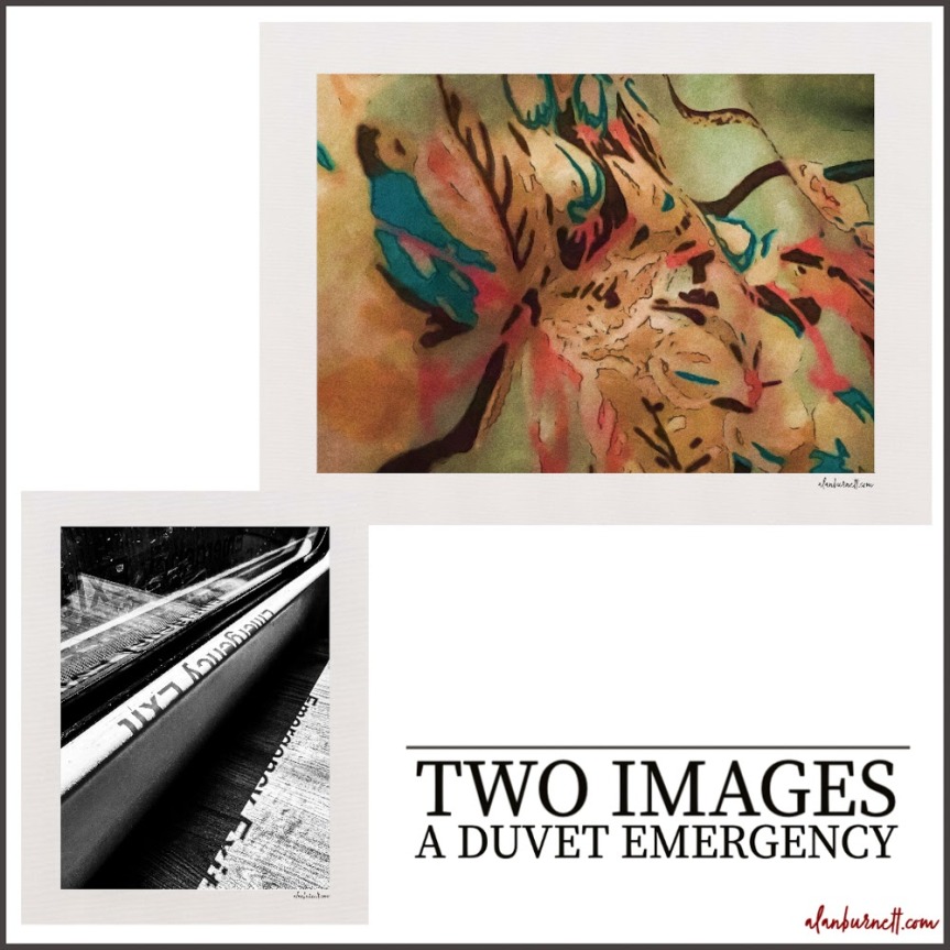 Two Images: A Duvet Emergency